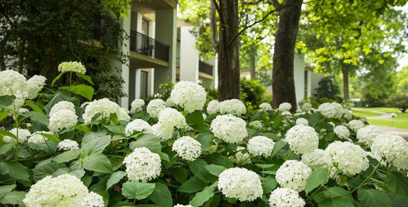Griffin Hotel, An Official Colonial Williamsburg Hotel 외부 사진